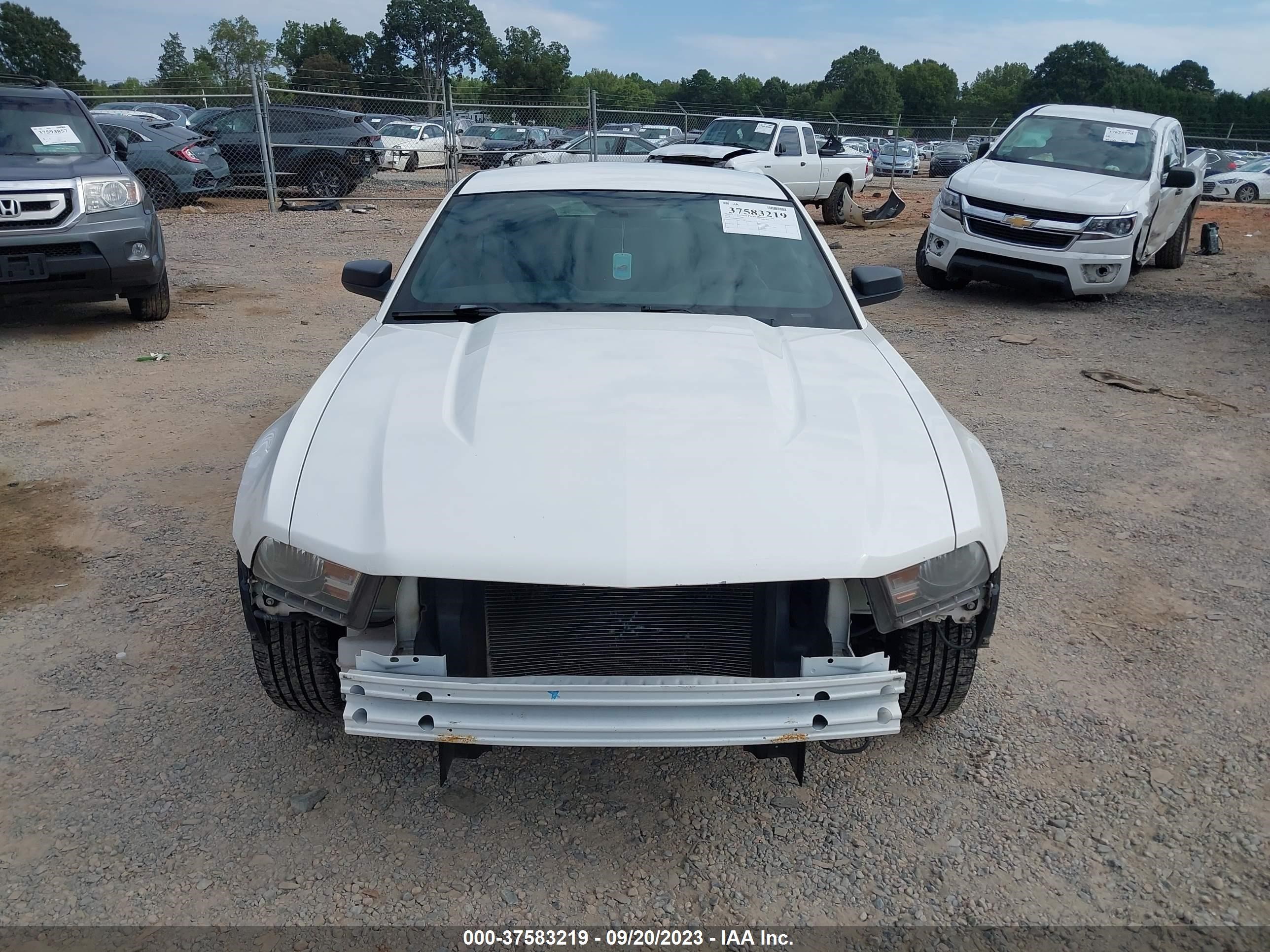 Photo 12 VIN: 1ZVBP8AN6A5105611 - FORD MUSTANG 