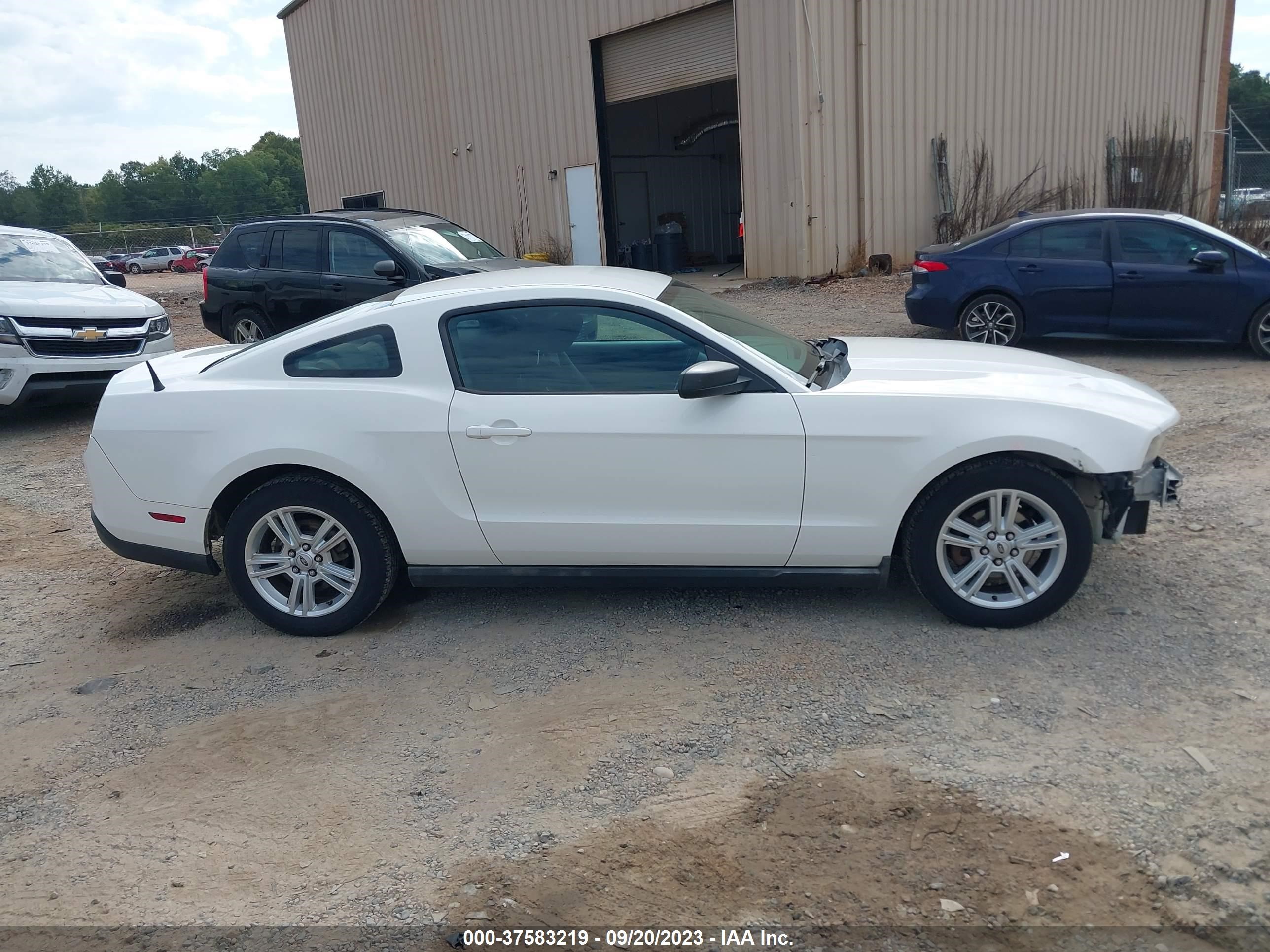 Photo 13 VIN: 1ZVBP8AN6A5105611 - FORD MUSTANG 