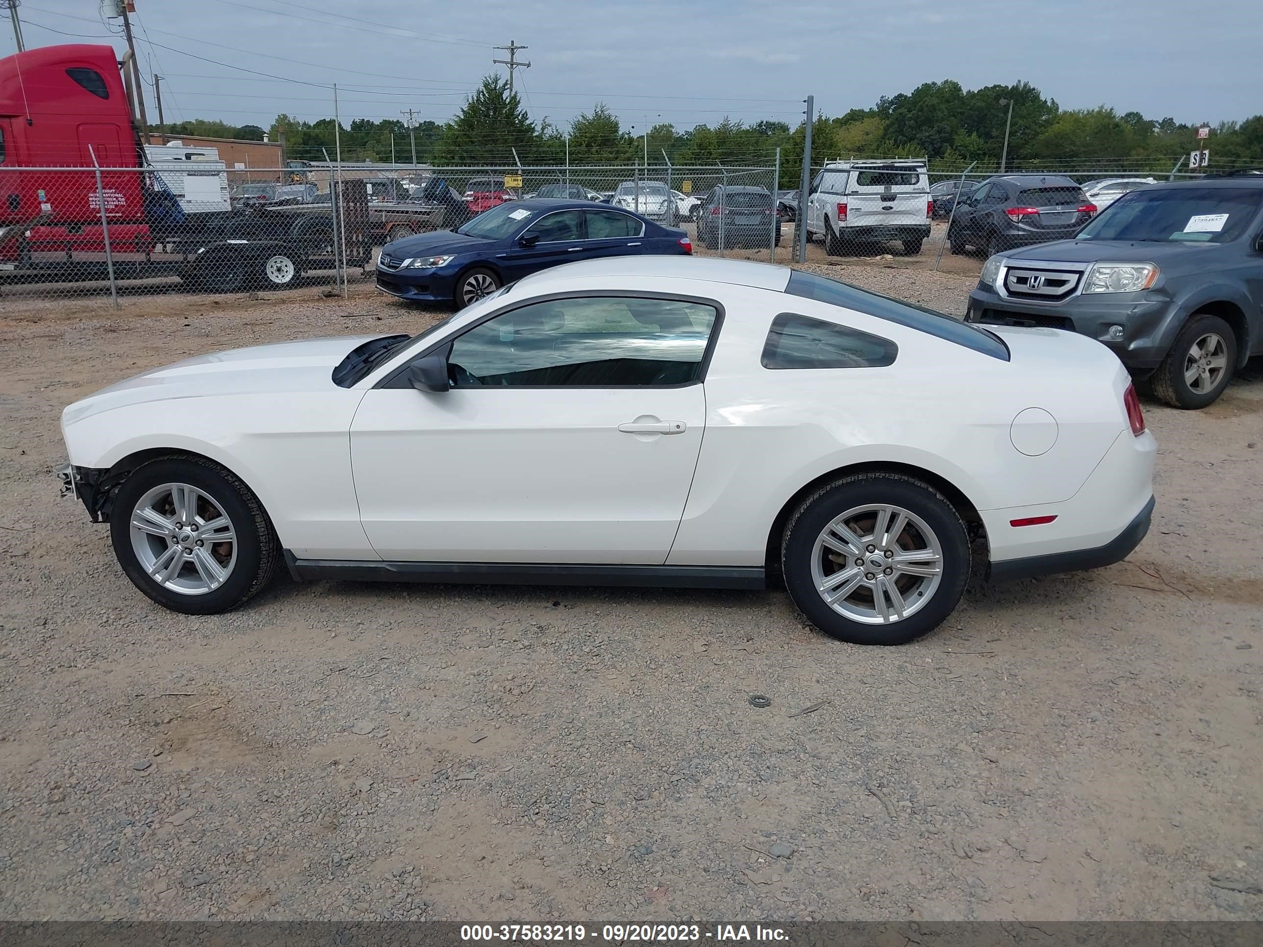 Photo 14 VIN: 1ZVBP8AN6A5105611 - FORD MUSTANG 