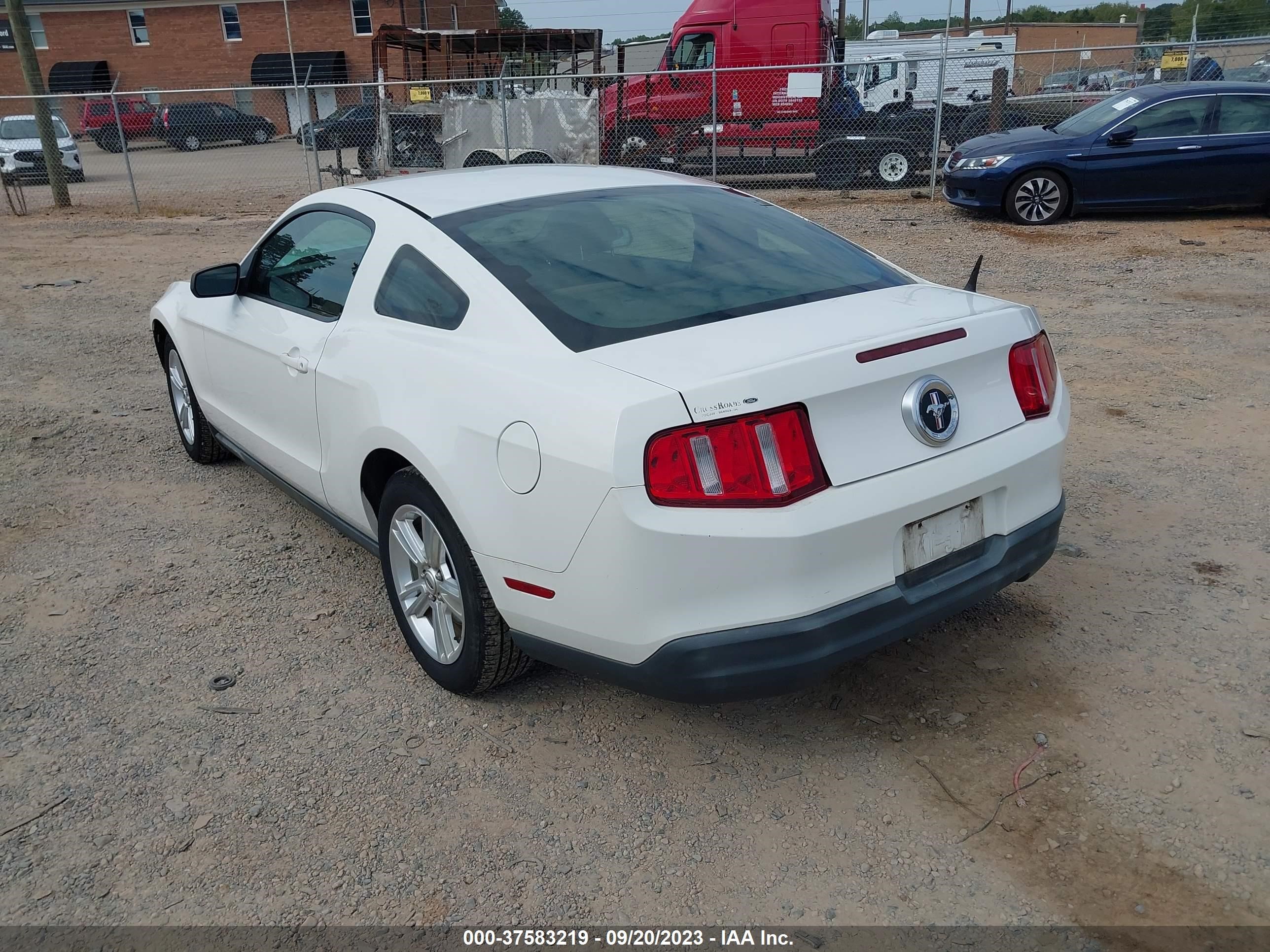 Photo 2 VIN: 1ZVBP8AN6A5105611 - FORD MUSTANG 