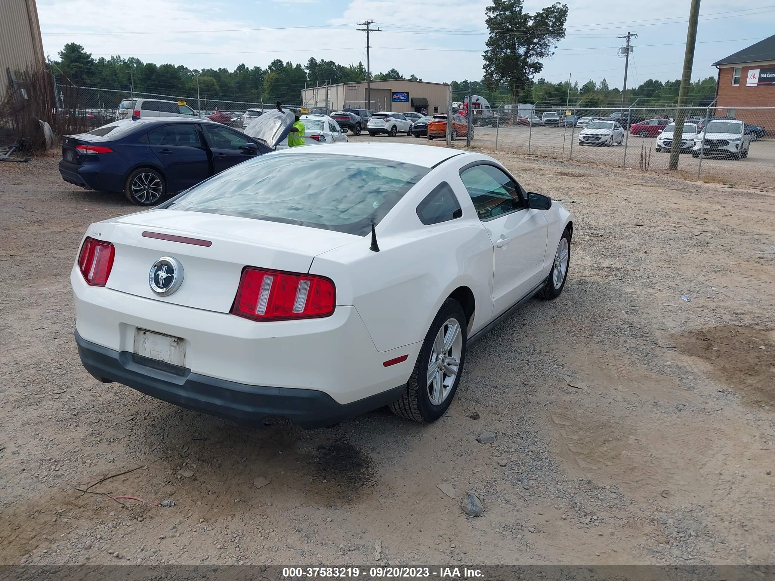 Photo 3 VIN: 1ZVBP8AN6A5105611 - FORD MUSTANG 