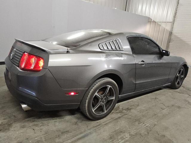 Photo 2 VIN: 1ZVBP8AN6A5111487 - FORD MUSTANG 