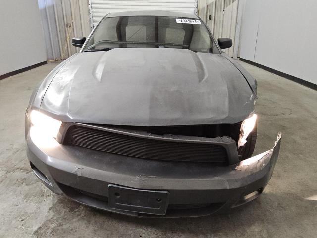 Photo 4 VIN: 1ZVBP8AN6A5111487 - FORD MUSTANG 