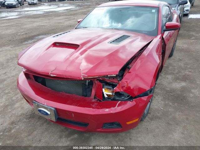 Photo 5 VIN: 1ZVBP8AN6A5116916 - FORD MUSTANG 