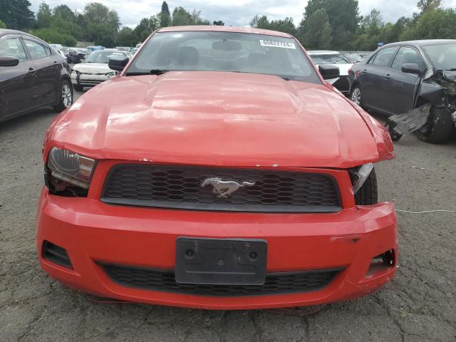 Photo 4 VIN: 1ZVBP8AN6A5127561 - FORD MUSTANG 