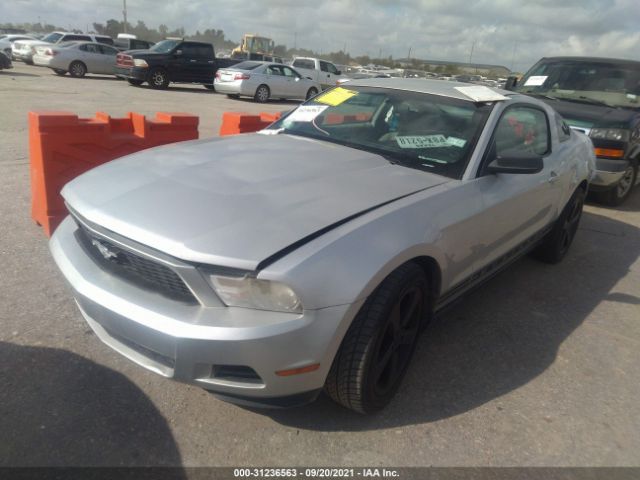 Photo 1 VIN: 1ZVBP8AN6A5137877 - FORD MUSTANG 