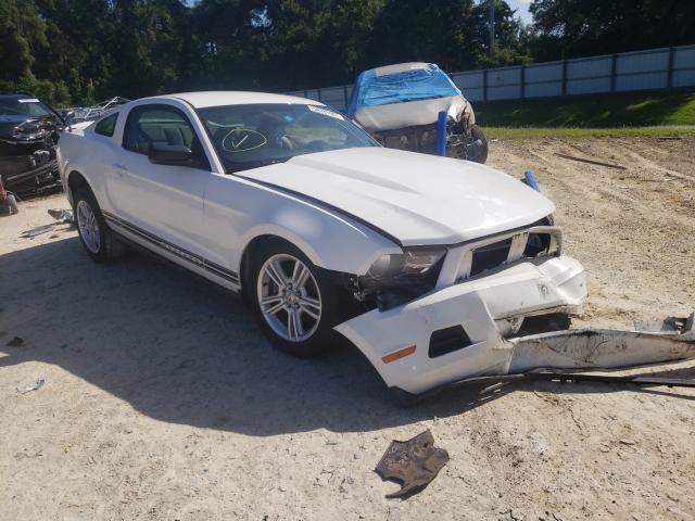 Photo 0 VIN: 1ZVBP8AN6A5142979 - FORD MUSTANG 