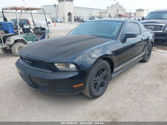 Photo 1 VIN: 1ZVBP8AN6A5150886 - FORD MUSTANG 