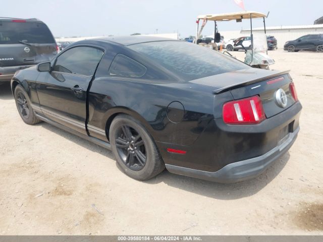 Photo 2 VIN: 1ZVBP8AN6A5150886 - FORD MUSTANG 