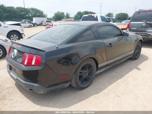 Photo 3 VIN: 1ZVBP8AN6A5150886 - FORD MUSTANG 