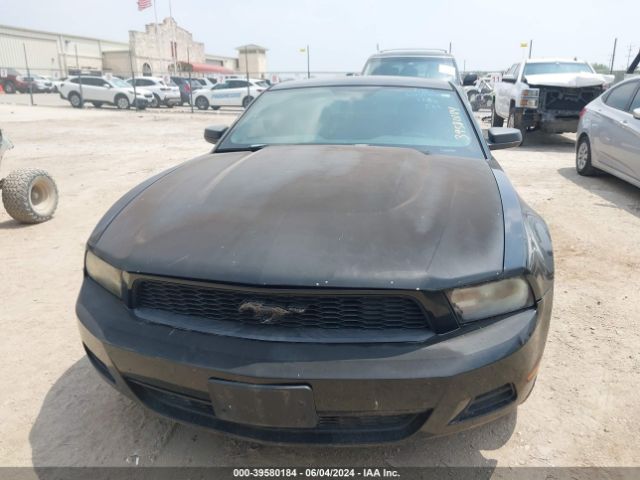 Photo 5 VIN: 1ZVBP8AN6A5150886 - FORD MUSTANG 