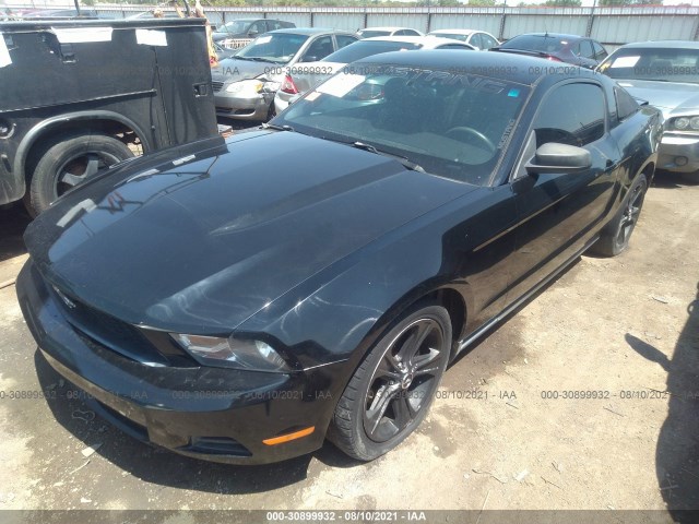 Photo 1 VIN: 1ZVBP8AN6A5151908 - FORD MUSTANG 