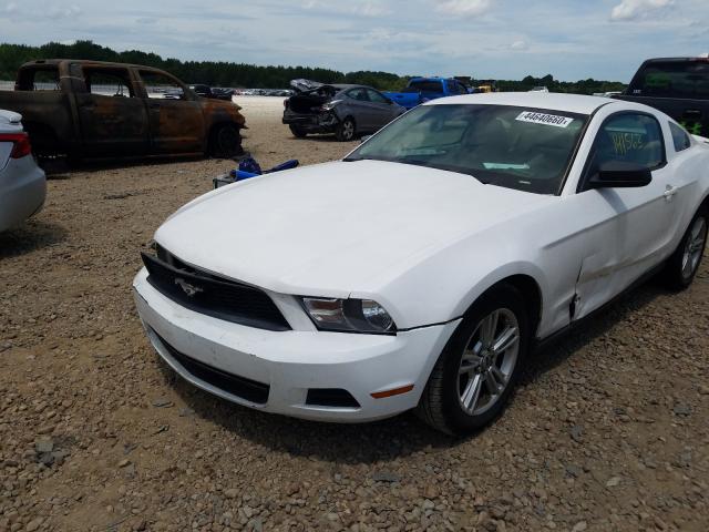 Photo 1 VIN: 1ZVBP8AN6A5157322 - FORD MUSTANG 