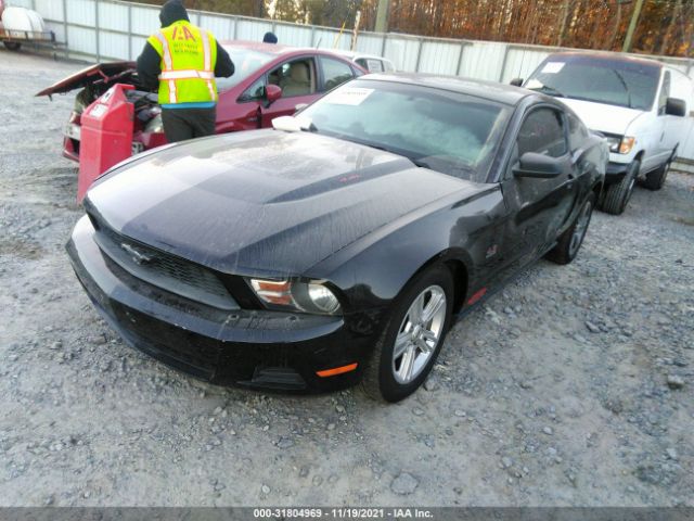 Photo 1 VIN: 1ZVBP8AN6A5160673 - FORD MUSTANG 