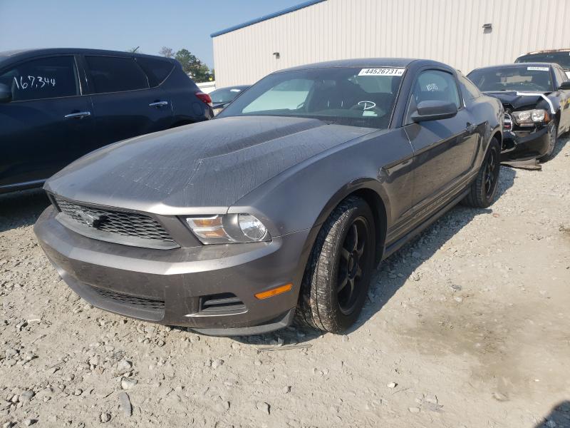 Photo 1 VIN: 1ZVBP8AN6A5172371 - FORD MUSTANG 