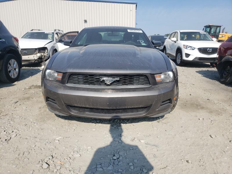 Photo 8 VIN: 1ZVBP8AN6A5172371 - FORD MUSTANG 