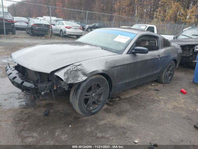 Photo 1 VIN: 1ZVBP8AN6A5173374 - FORD MUSTANG 