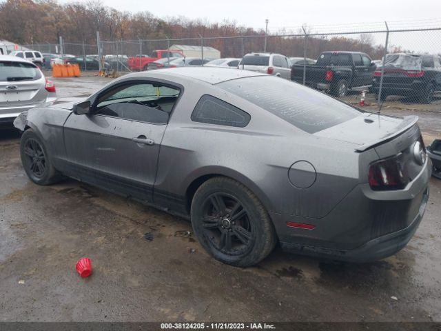 Photo 2 VIN: 1ZVBP8AN6A5173374 - FORD MUSTANG 