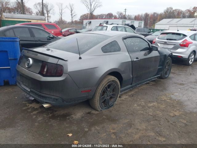 Photo 3 VIN: 1ZVBP8AN6A5173374 - FORD MUSTANG 