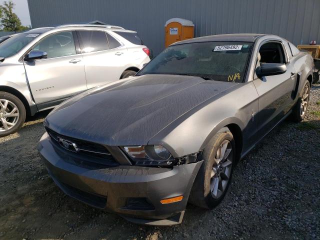 Photo 1 VIN: 1ZVBP8AN6A5177425 - FORD MUSTANG 