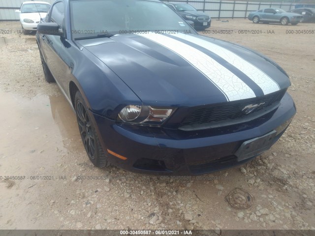 Photo 5 VIN: 1ZVBP8AN7A5106427 - FORD MUSTANG 