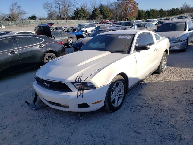 Photo 1 VIN: 1ZVBP8AN7A5128184 - FORD MUSTANG 