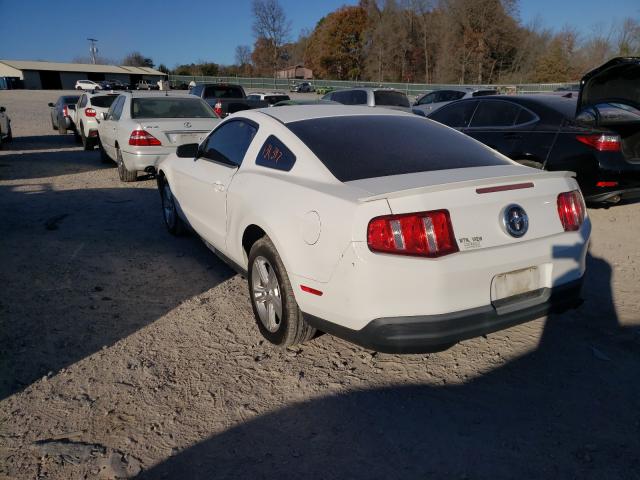 Photo 2 VIN: 1ZVBP8AN7A5128184 - FORD MUSTANG 