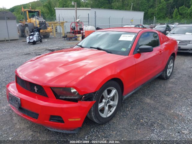 Photo 1 VIN: 1ZVBP8AN7A5134129 - FORD MUSTANG 