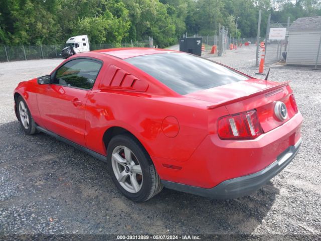 Photo 2 VIN: 1ZVBP8AN7A5134129 - FORD MUSTANG 