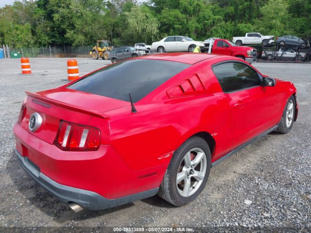 Photo 3 VIN: 1ZVBP8AN7A5134129 - FORD MUSTANG 