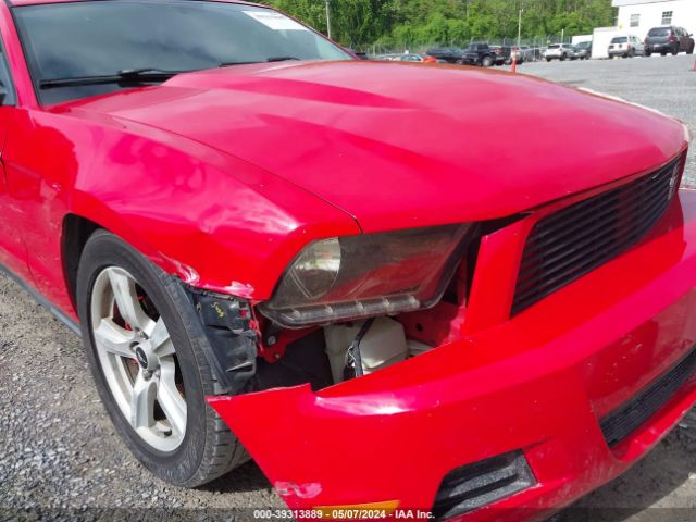 Photo 5 VIN: 1ZVBP8AN7A5134129 - FORD MUSTANG 