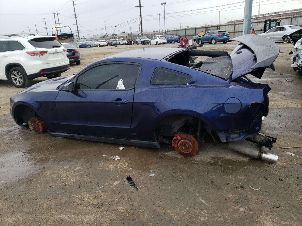 Photo 1 VIN: 1ZVBP8AN7A5137239 - FORD MUSTANG 