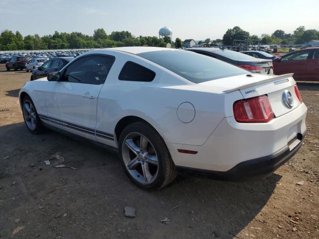 Photo 1 VIN: 1ZVBP8AN7A5138469 - FORD MUSTANG 