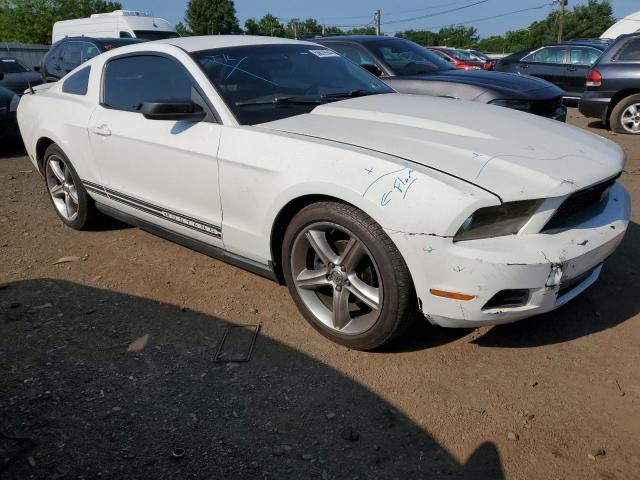 Photo 3 VIN: 1ZVBP8AN7A5138469 - FORD MUSTANG 