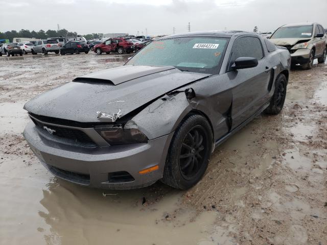 Photo 1 VIN: 1ZVBP8AN7A5141517 - FORD MUSTANG 