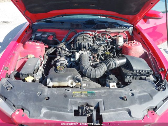 Photo 9 VIN: 1ZVBP8AN7A5146636 - FORD MUSTANG 