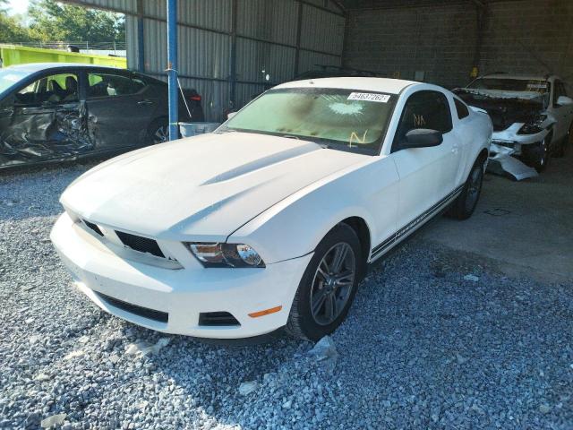 Photo 1 VIN: 1ZVBP8AN7A5173657 - FORD MUSTANG 