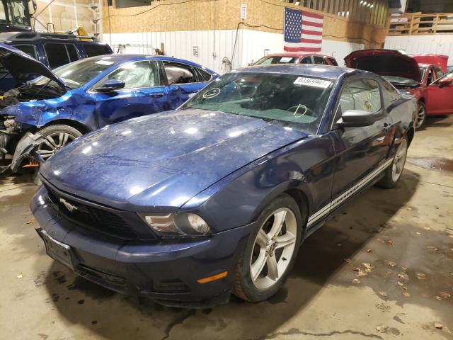 Photo 1 VIN: 1ZVBP8AN7A5179961 - FORD MUSTANG 