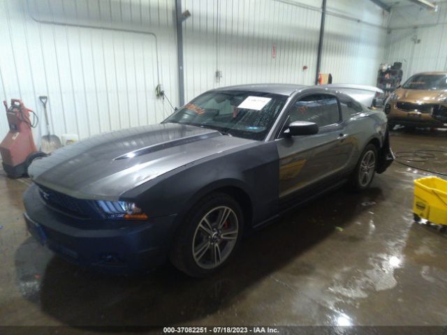 Photo 1 VIN: 1ZVBP8AN8A5108610 - FORD MUSTANG 