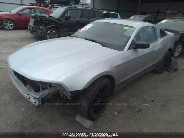 Photo 1 VIN: 1ZVBP8AN8A5125049 - FORD MUSTANG 