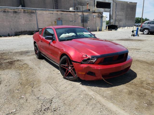 Photo 0 VIN: 1ZVBP8AN8A5129036 - FORD MUSTANG 