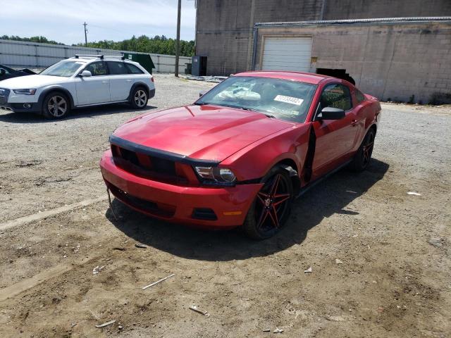 Photo 1 VIN: 1ZVBP8AN8A5129036 - FORD MUSTANG 