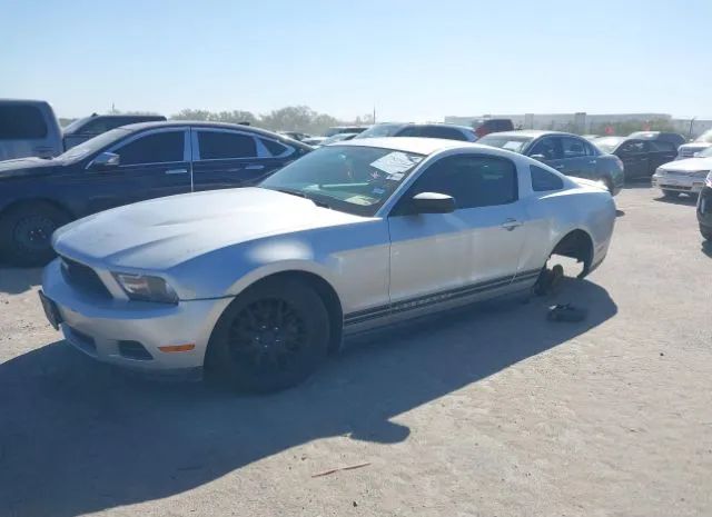 Photo 1 VIN: 1ZVBP8AN8A5130851 - FORD MUSTANG 