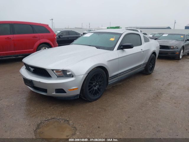 Photo 1 VIN: 1ZVBP8AN8A5130851 - FORD MUSTANG 