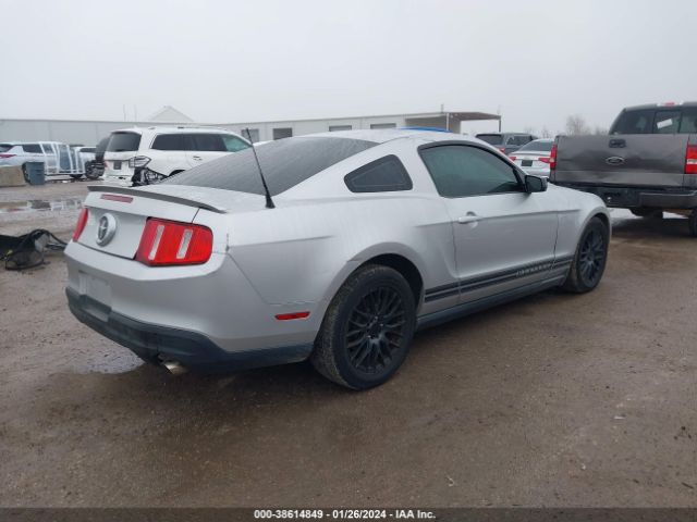 Photo 3 VIN: 1ZVBP8AN8A5130851 - FORD MUSTANG 