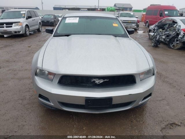 Photo 5 VIN: 1ZVBP8AN8A5130851 - FORD MUSTANG 