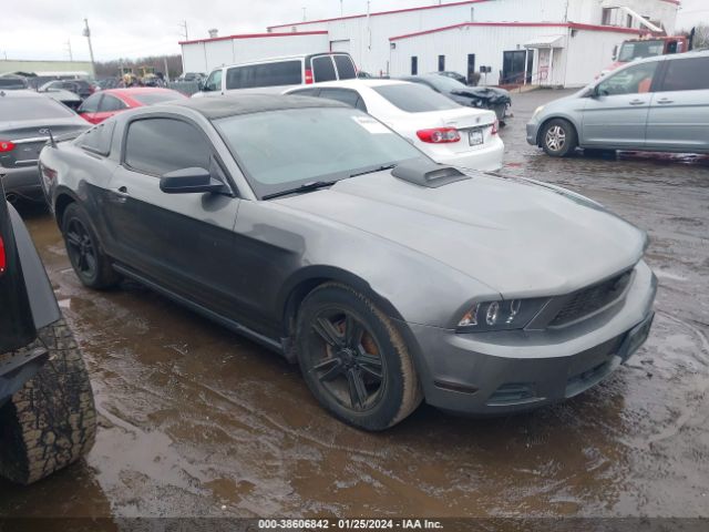 Photo 0 VIN: 1ZVBP8AN8A5148735 - FORD MUSTANG 