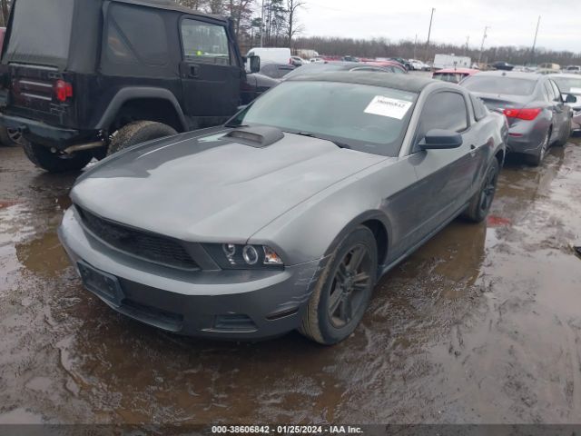 Photo 1 VIN: 1ZVBP8AN8A5148735 - FORD MUSTANG 