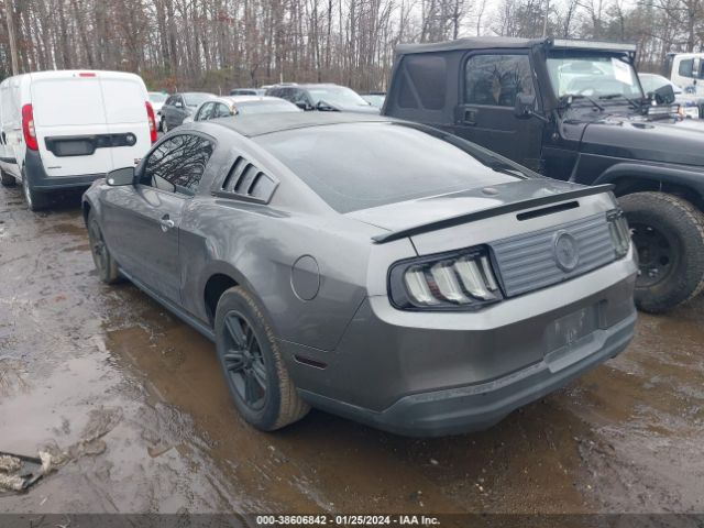 Photo 2 VIN: 1ZVBP8AN8A5148735 - FORD MUSTANG 