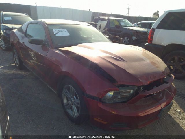 Photo 0 VIN: 1ZVBP8AN8A5155278 - FORD MUSTANG 